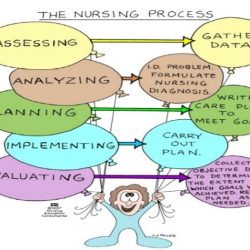 The clinical judgement measurement model chamberlain